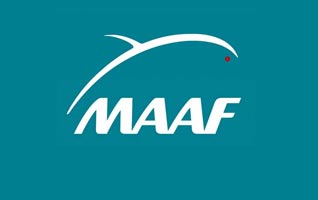 MAAF
